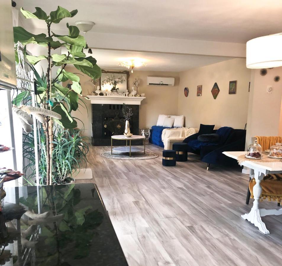 Villa Sierra 索诺拉 外观 照片